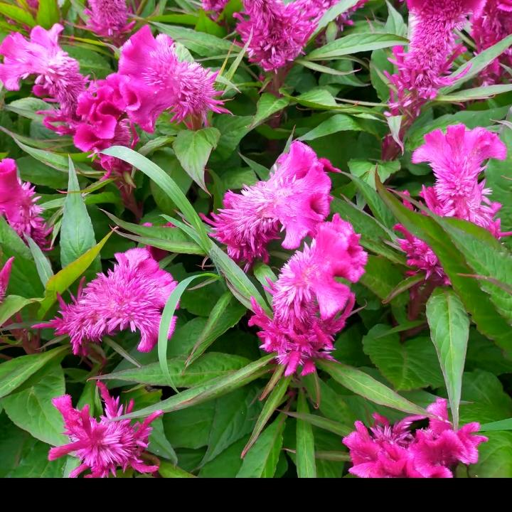 平安幸福一家人。。