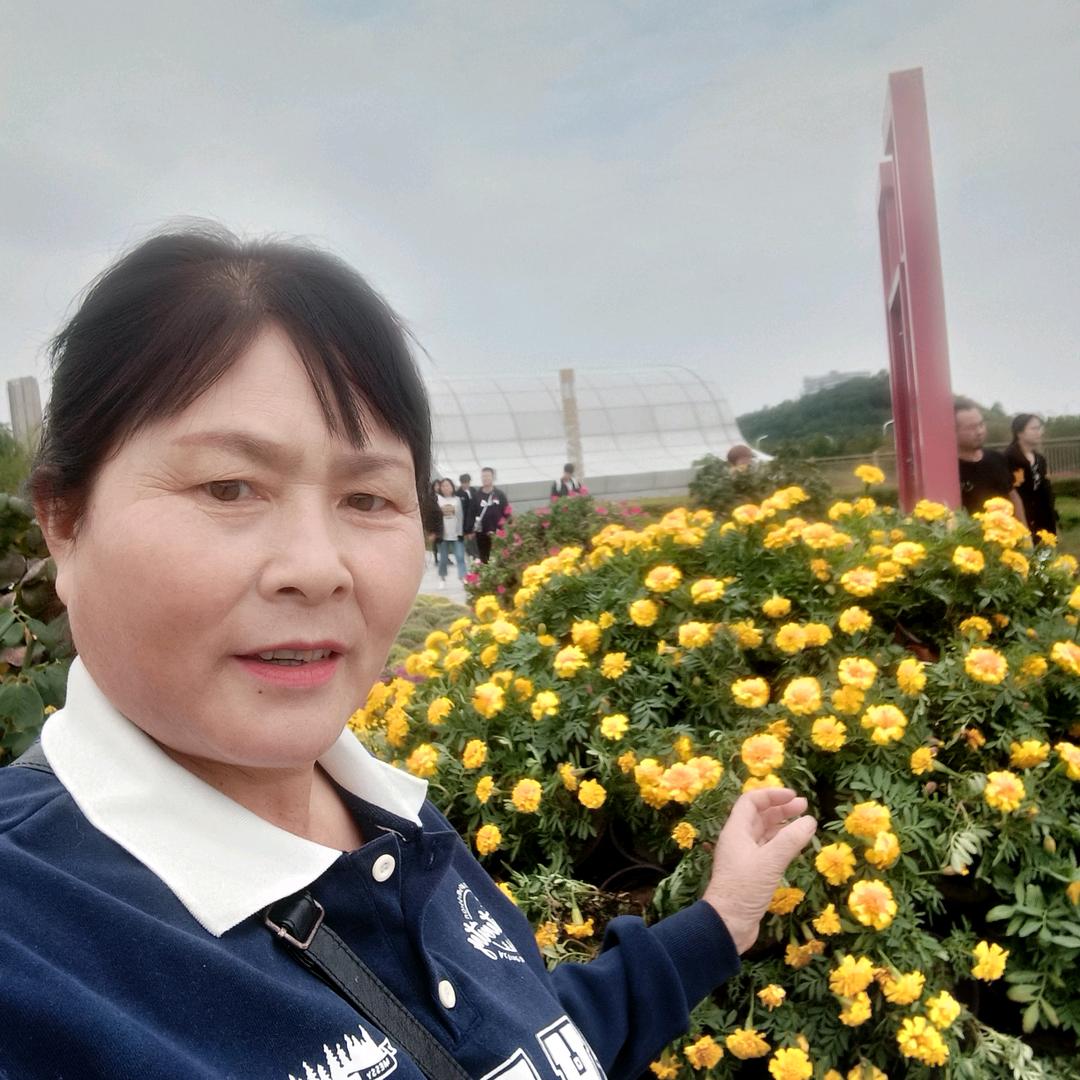 心想事成
