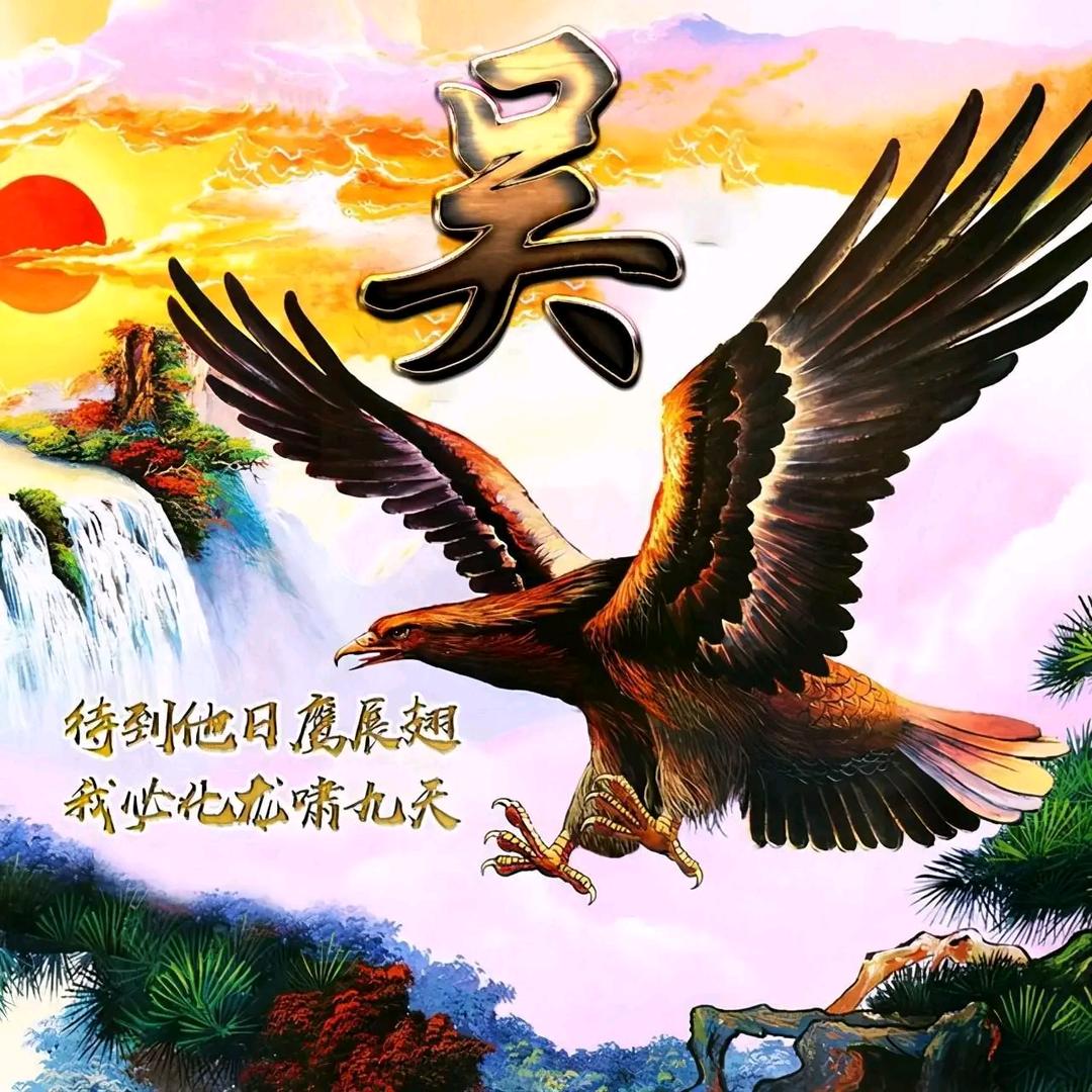 九天揽财