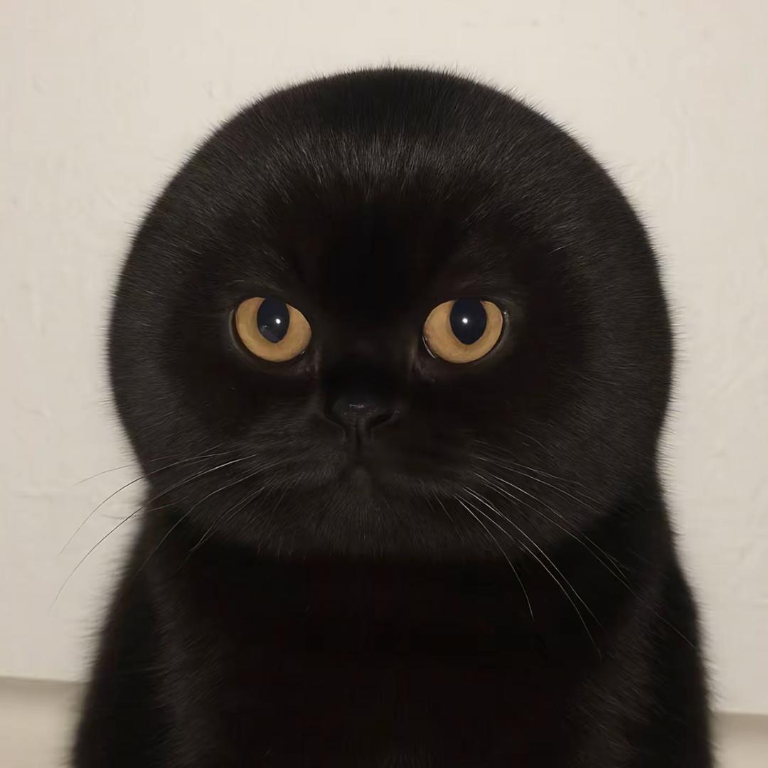 鼬思丿
