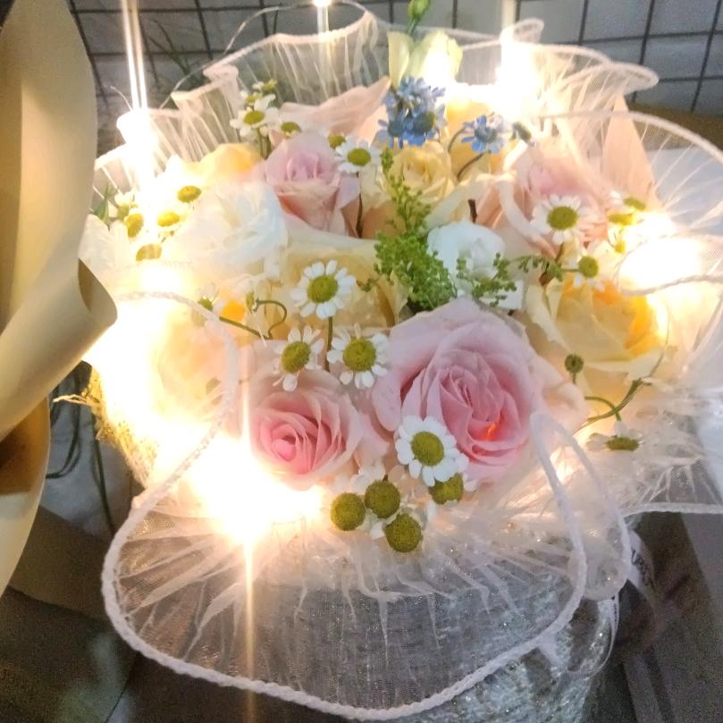 飞不出临漳的雁子