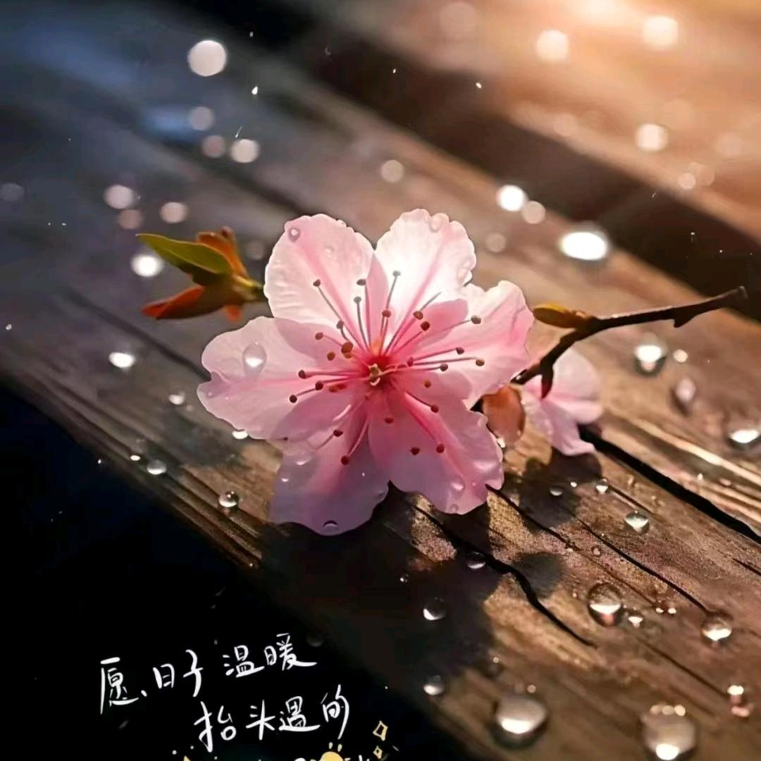 春春情感故事馆2