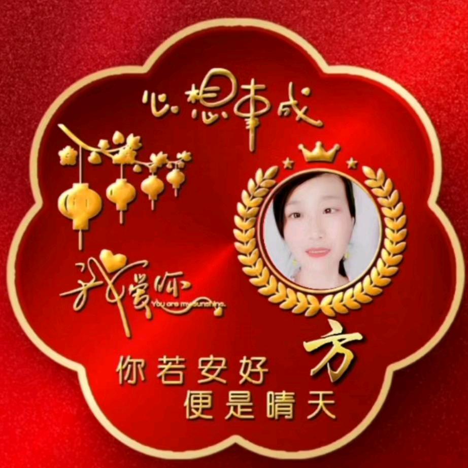 雨🌷中💐百🌸合🐅