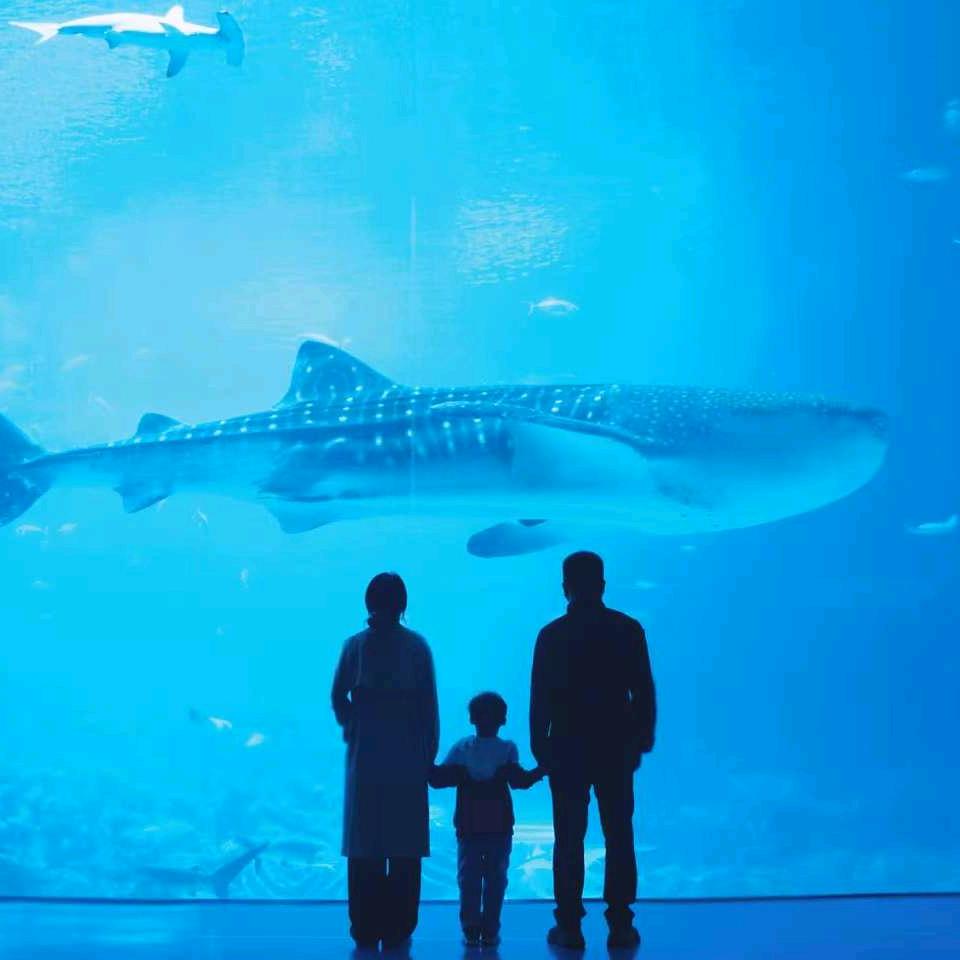 万事只求半称心