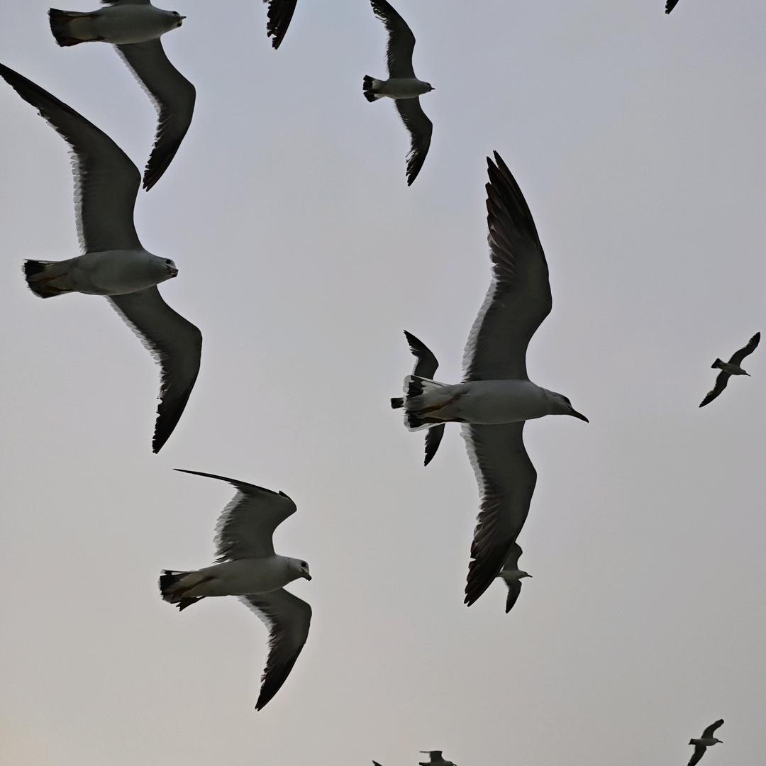 老板的快乐生活