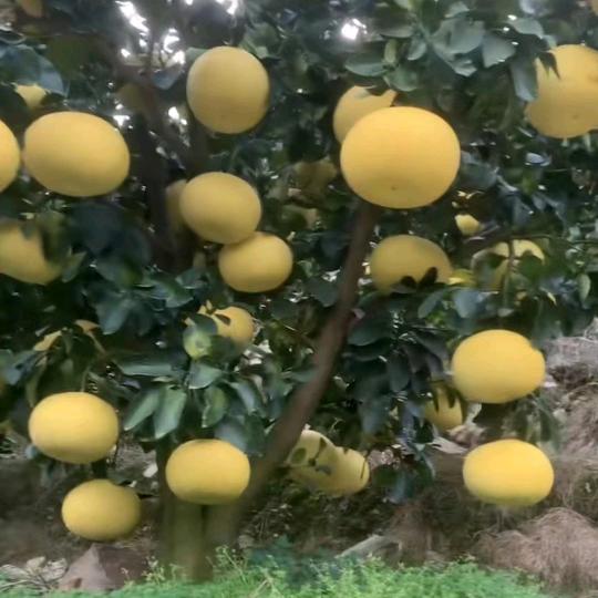 白天上班晚上睡觉