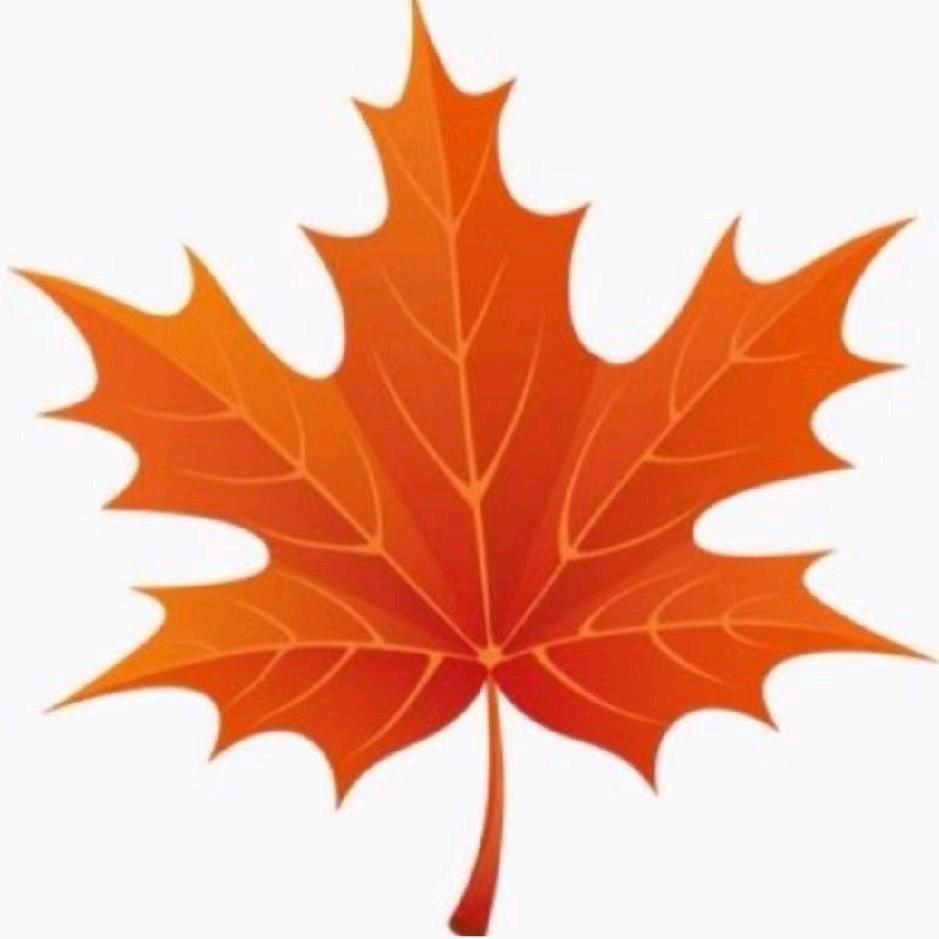 枫叶🍁