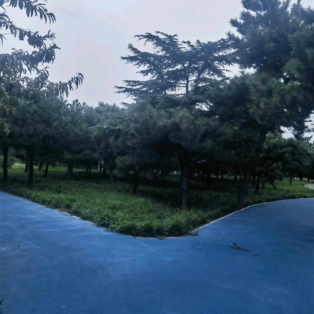 四李发财