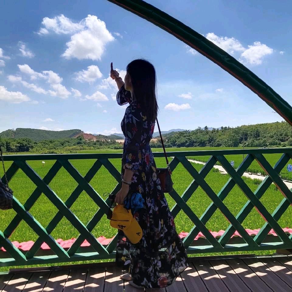 淡泊以明志