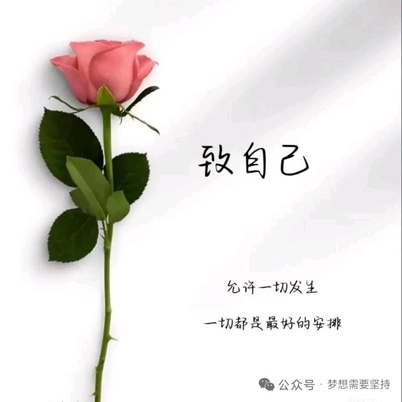 西安阿伟婚庆租车