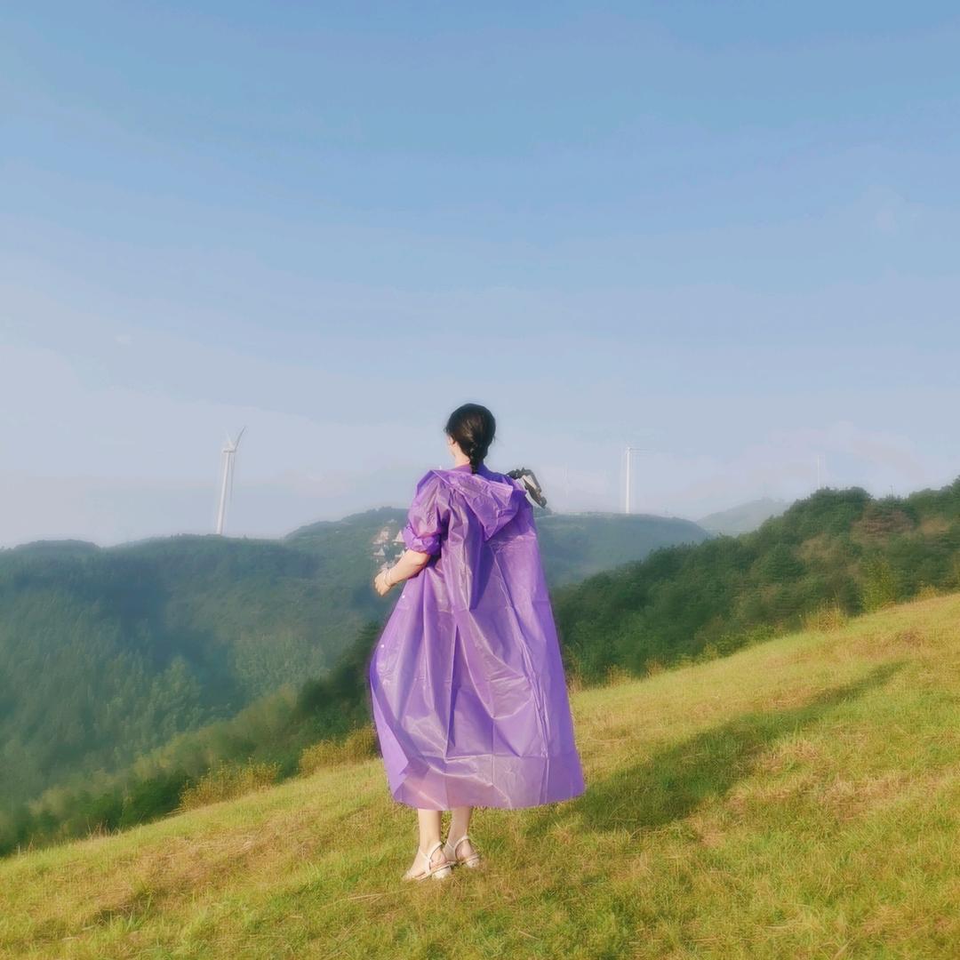 毛毛