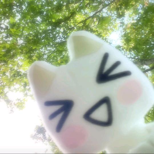 辞藻