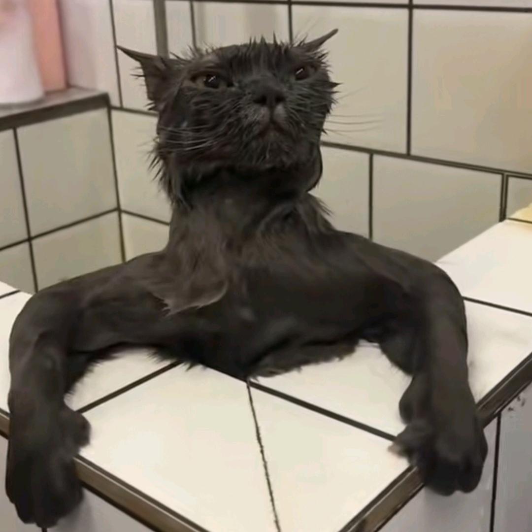 夕阳红学校校长