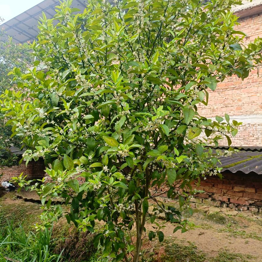 抖日常好物推荐