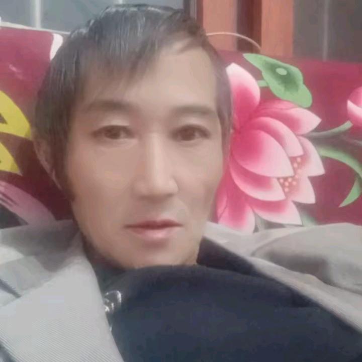 杨哥来了