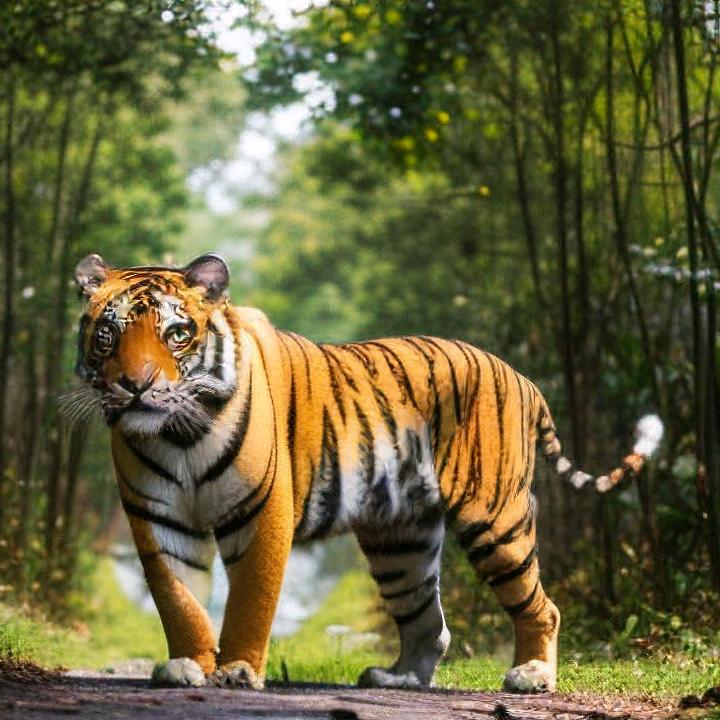 沐🐯💙