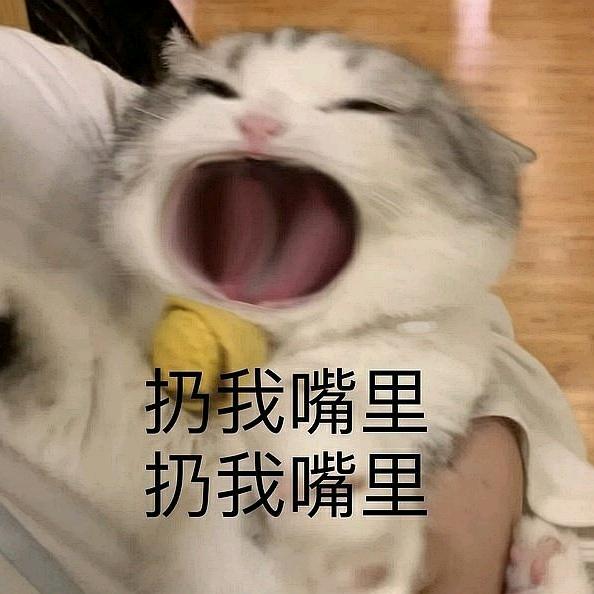 心尖王国
