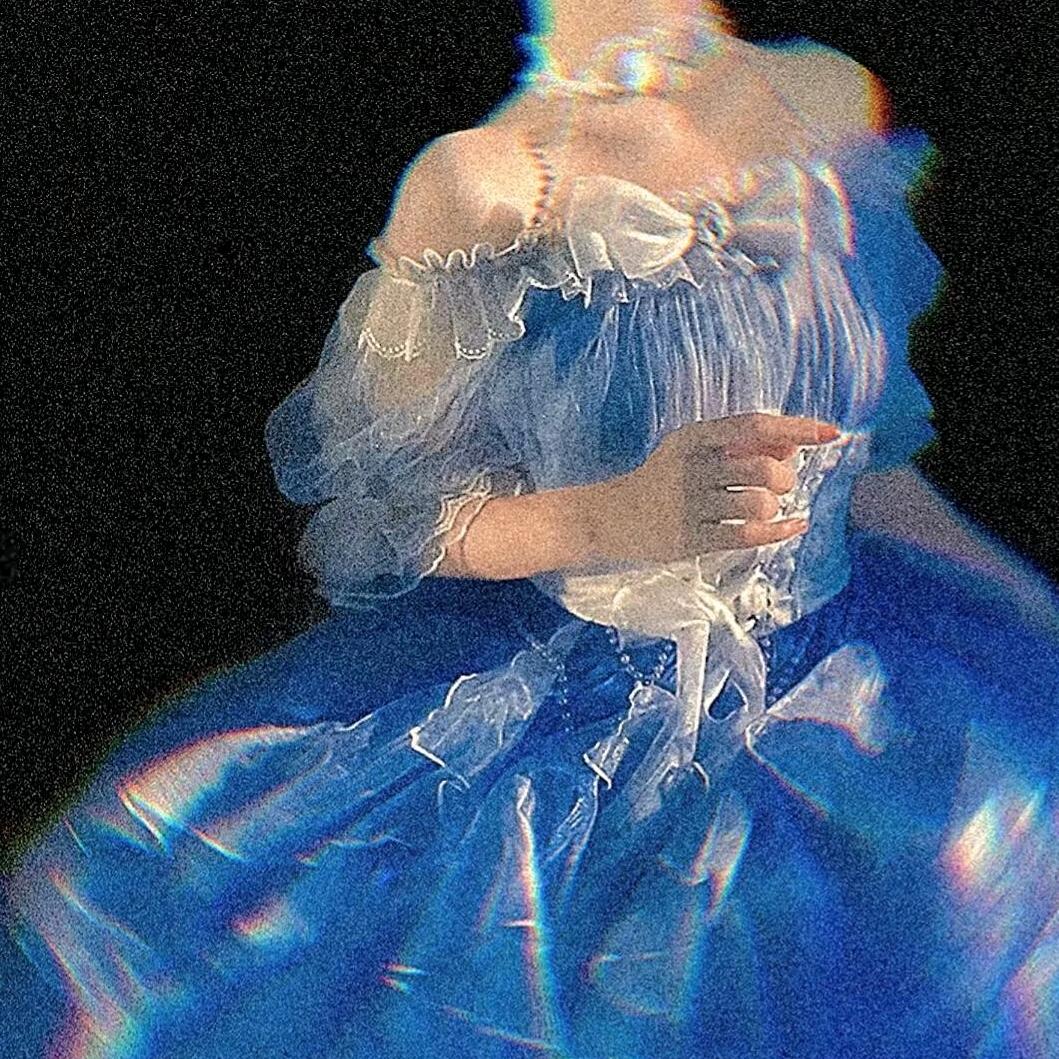 山茶花