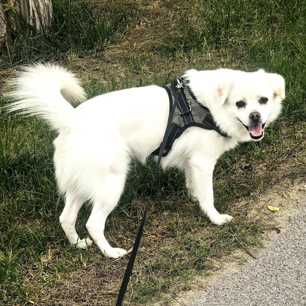 躺在帅鸽怀里酷