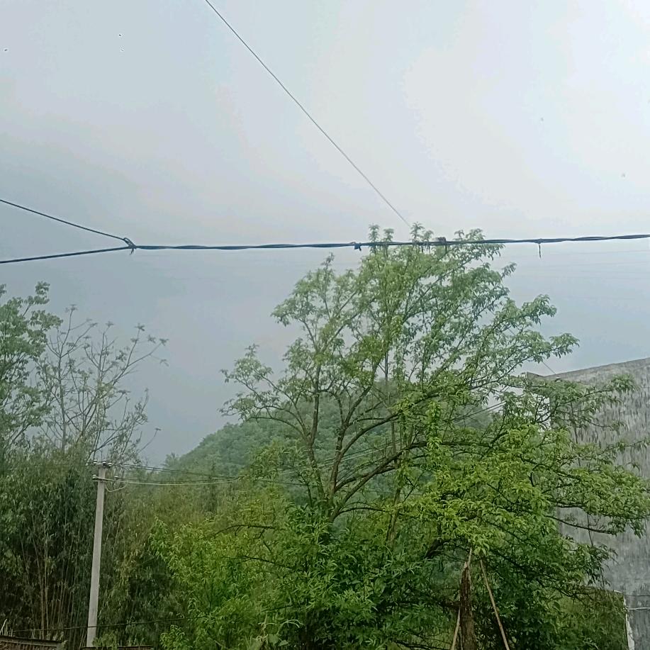 福利号