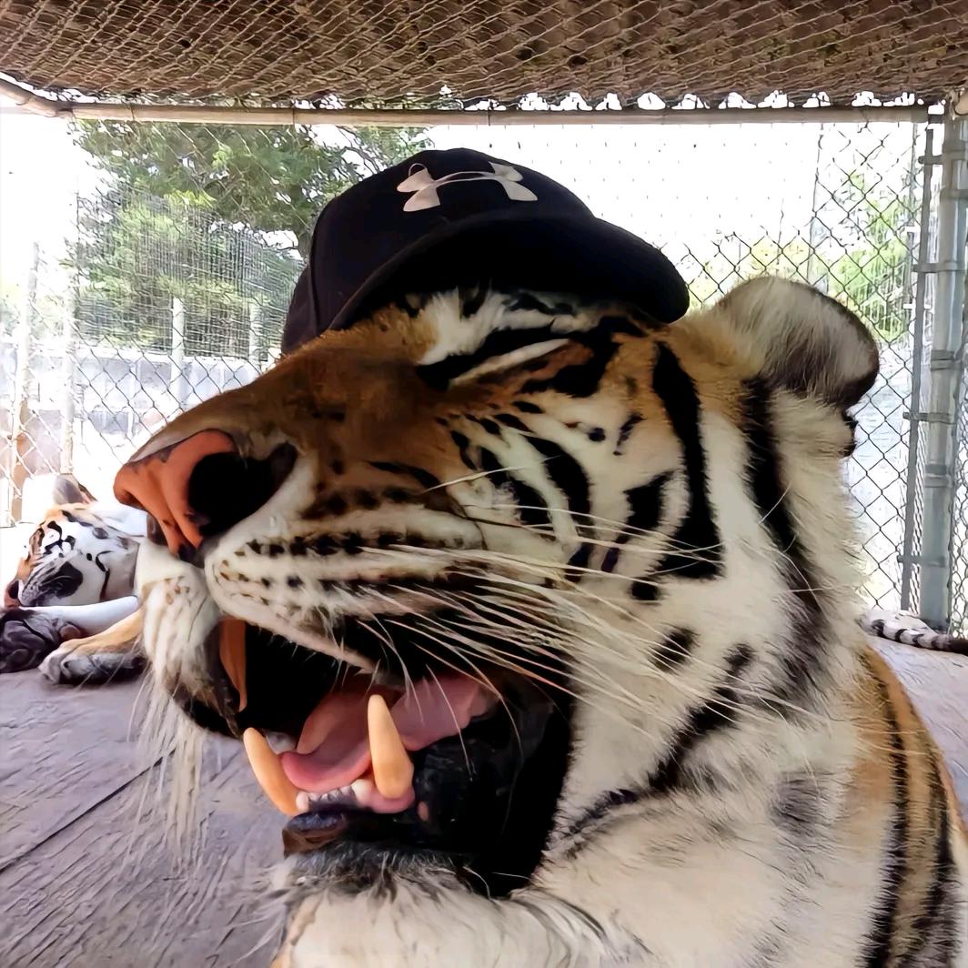 不发脾气只发财