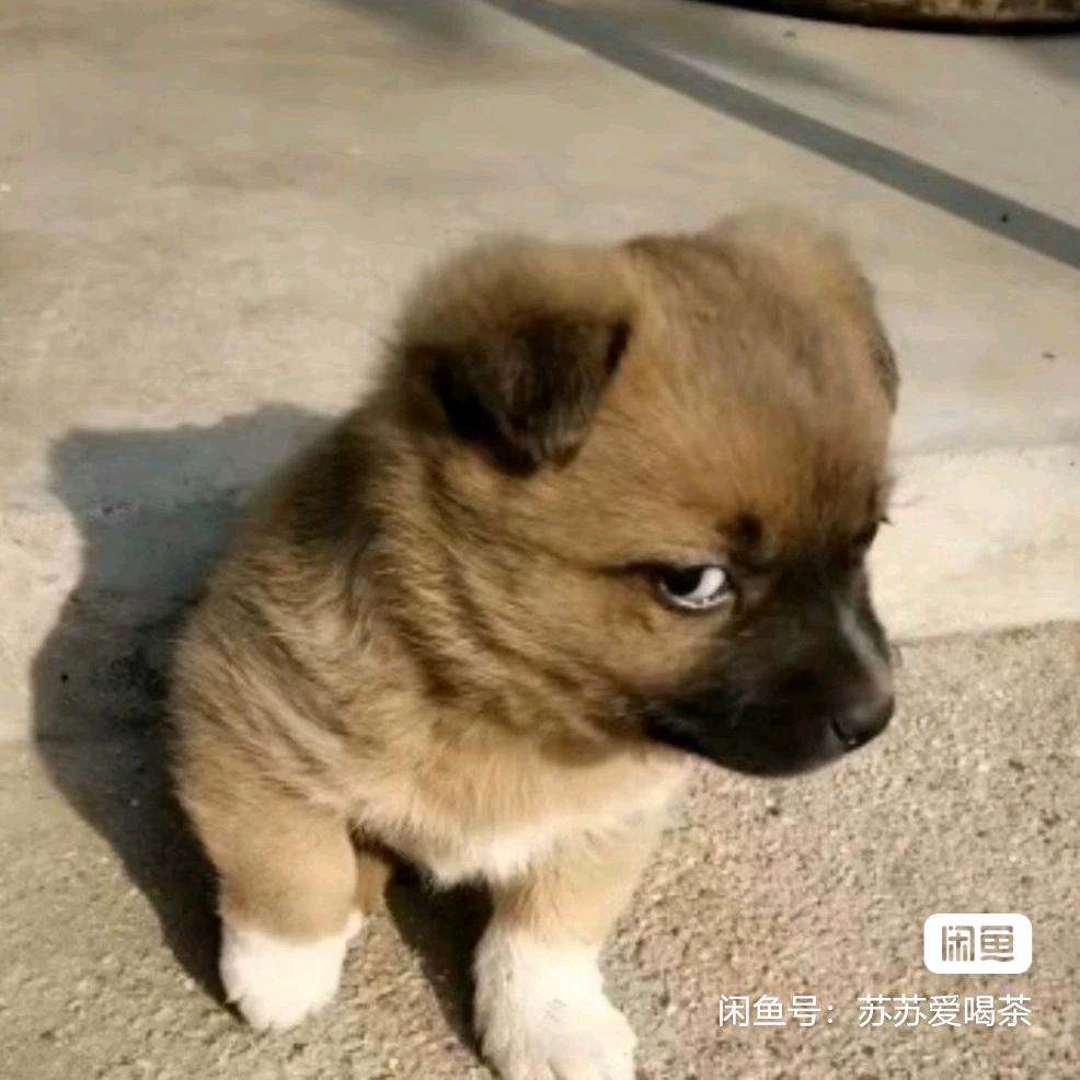 我有故事