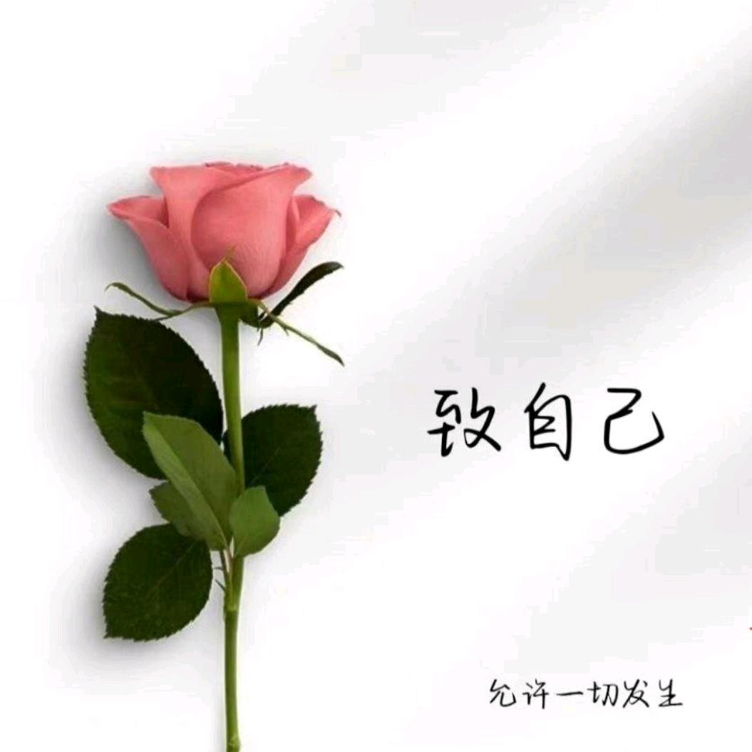 3720183754072