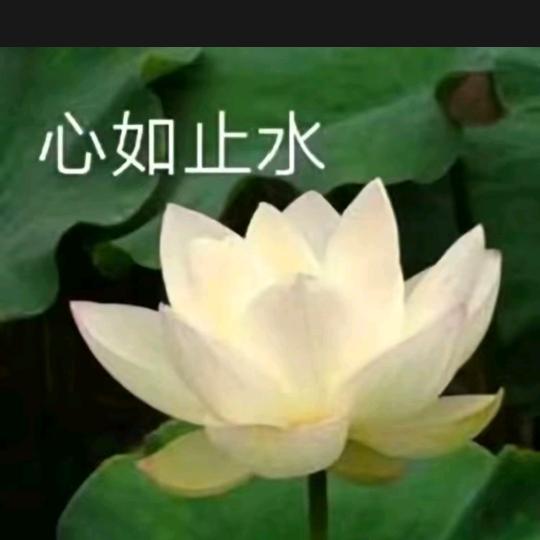 小军1849