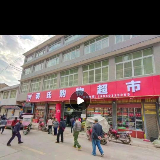 南部县桐坪镇范氏超市