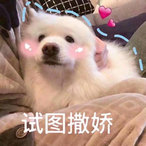 不因善小而不为