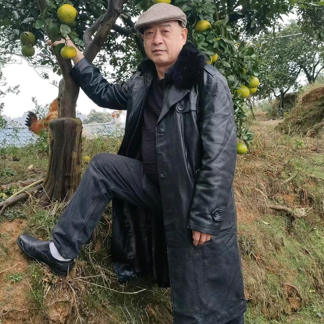 林森
