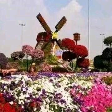 小苹果心目中等一个最完美的家