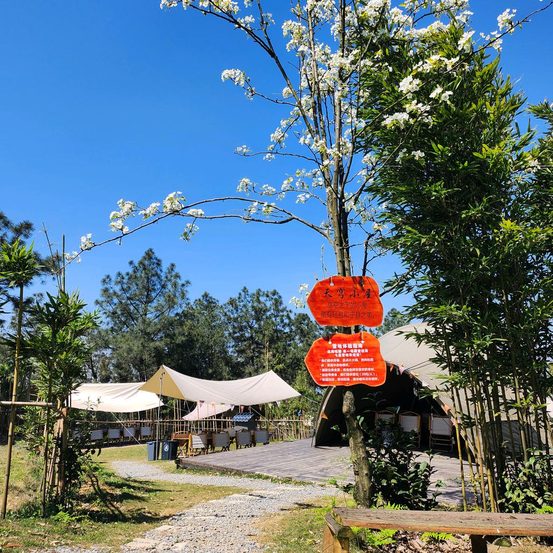 七星营地的日常