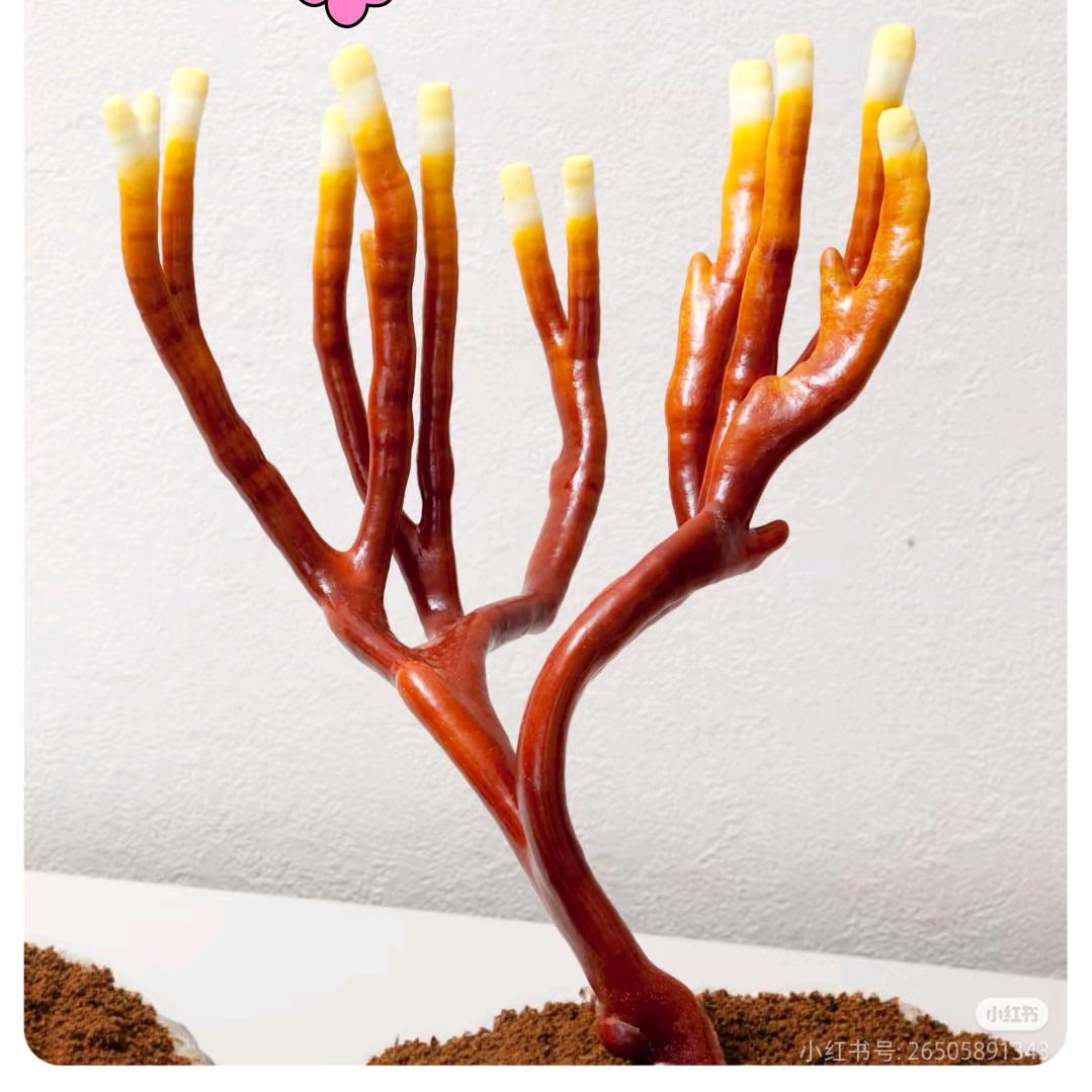 鹿茸菌本地农业种植基地