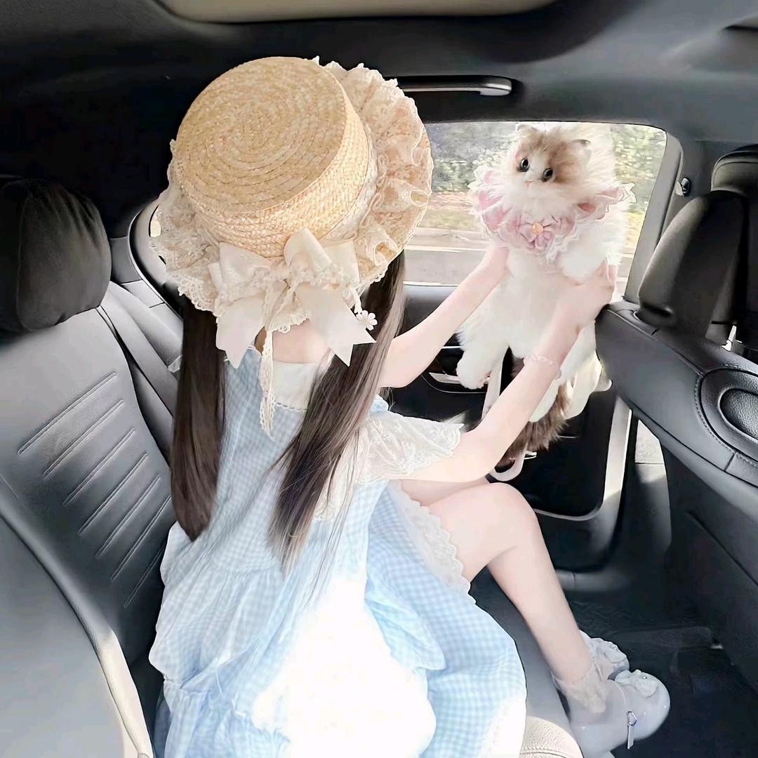 序岸