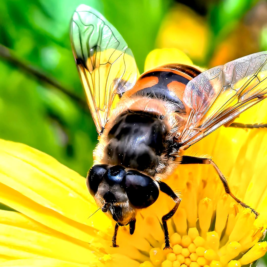 ── 展开2599条回复 ⌵