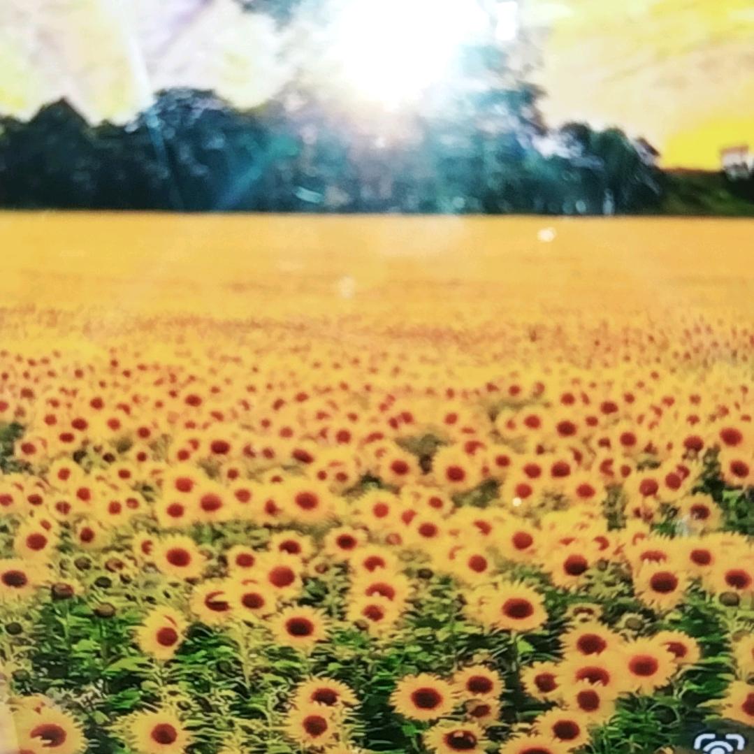 ꧔ꦿ࿐้一笑而过꧔ꦿ᭄