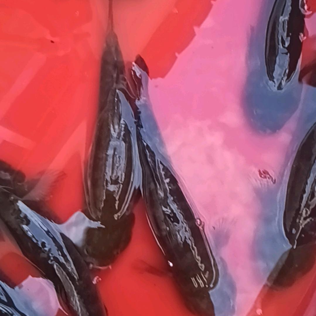 %%%1259～！？。，