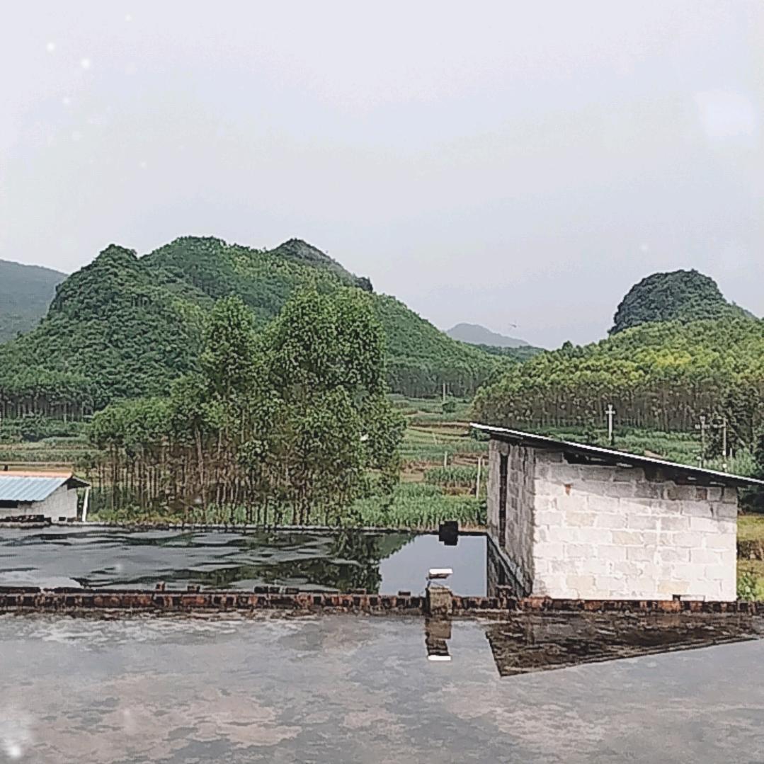 开门见山
