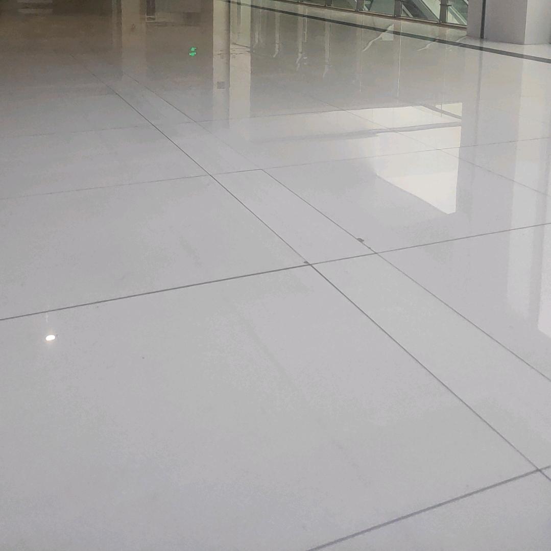 社