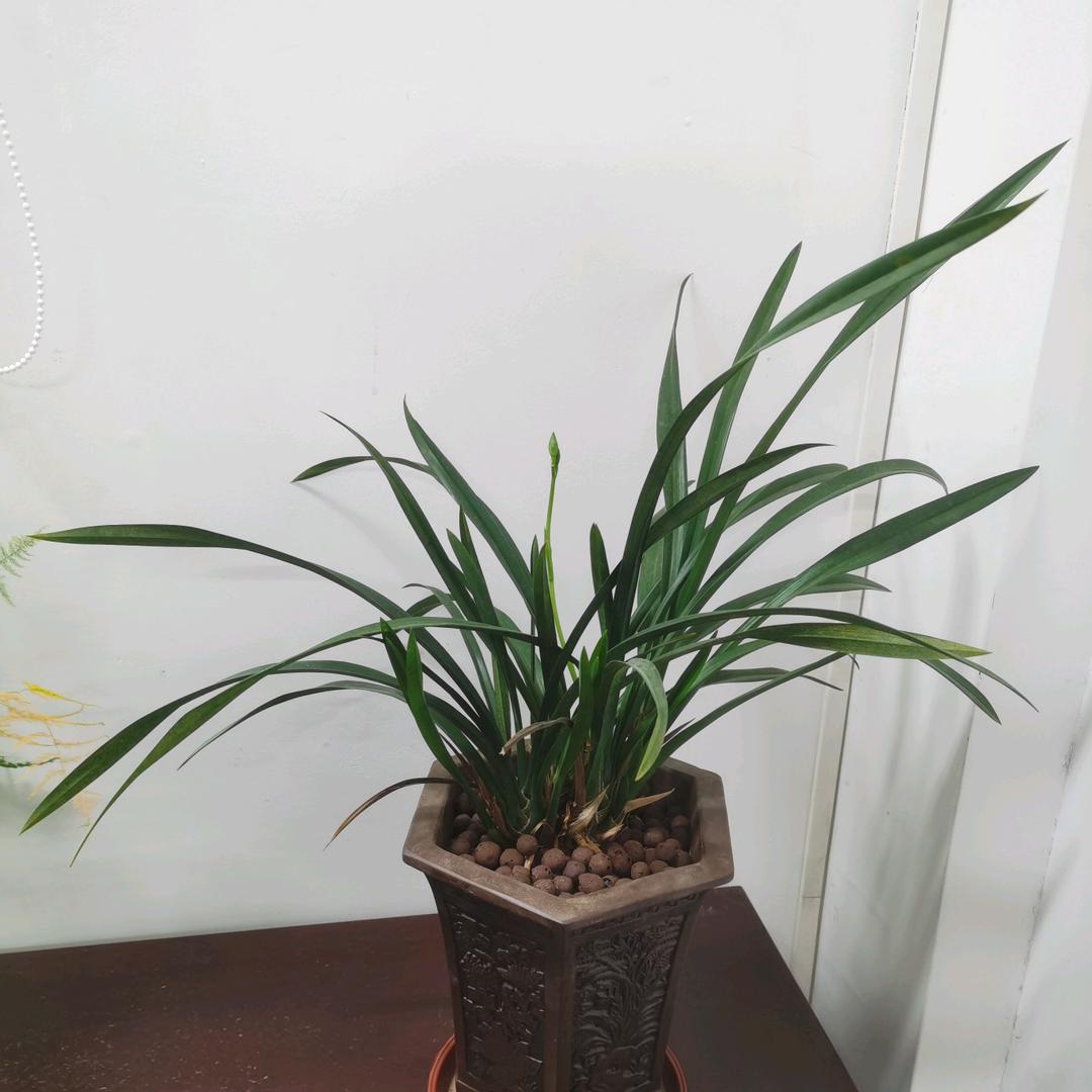 小舟寄沧海