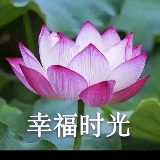 用户980252706252锦上添花🌸