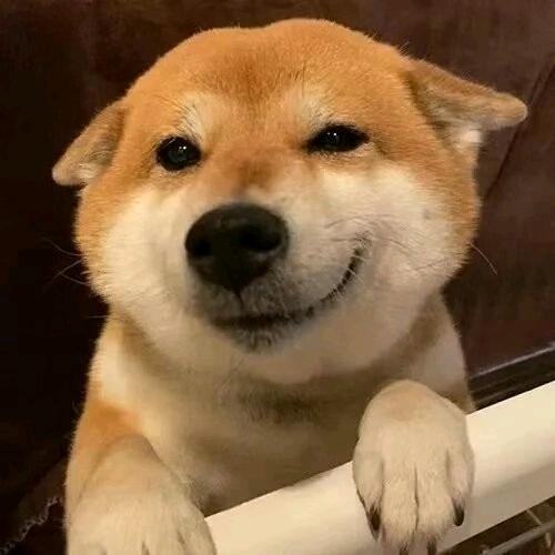 照寂