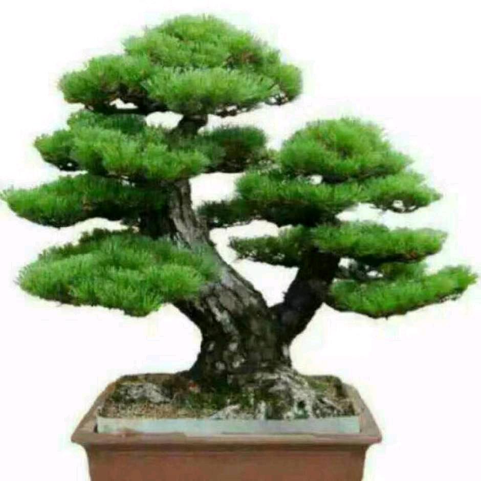 阿焕，专业护工