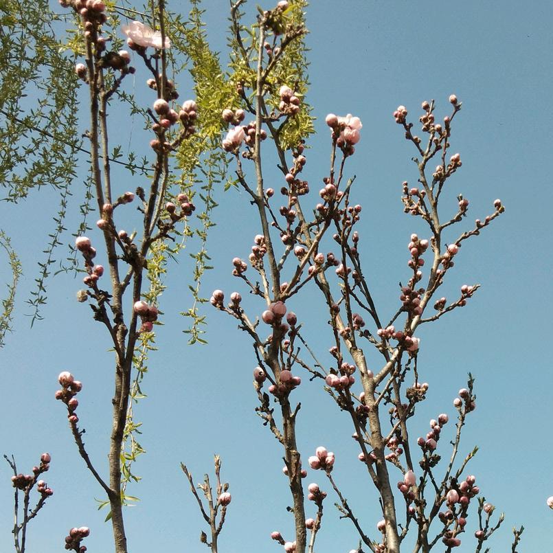 #郭姐带你逛阜阳