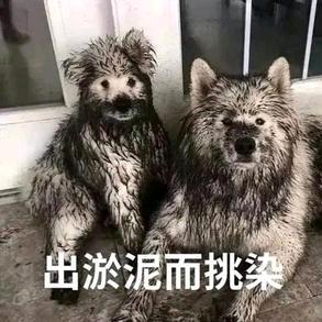 天气太特么特么特么好啦～