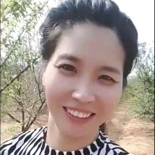 沉默四季