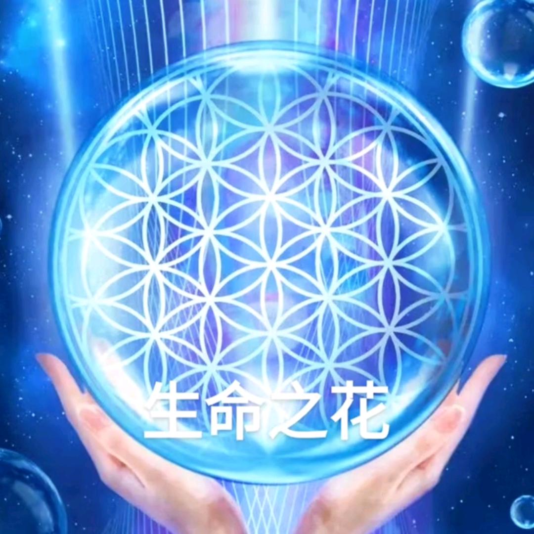 元式心理