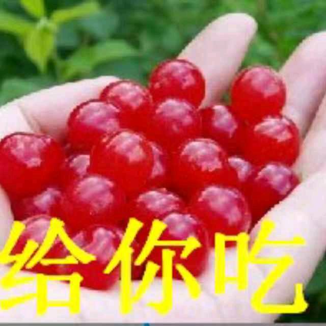 彩霞