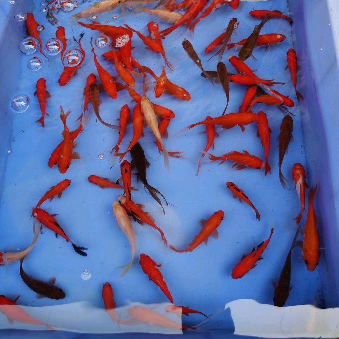 《易》启萌心录